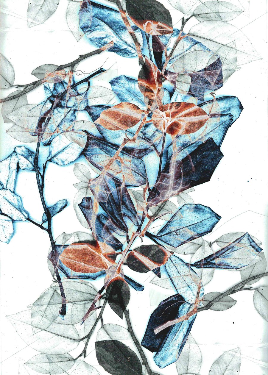 Freyr X, 2018 (digitaalinen) tekijältä Stephen Dow