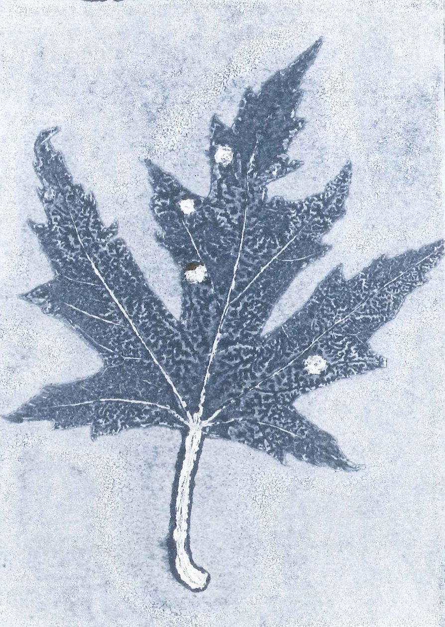 Gone II, 2015 (monoprintti paperille) tekijältä Stephen Dow