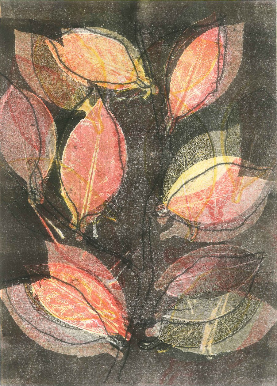 Midnight Garden V, 2015 (monoprintti paperille) tekijältä Stephen Dow