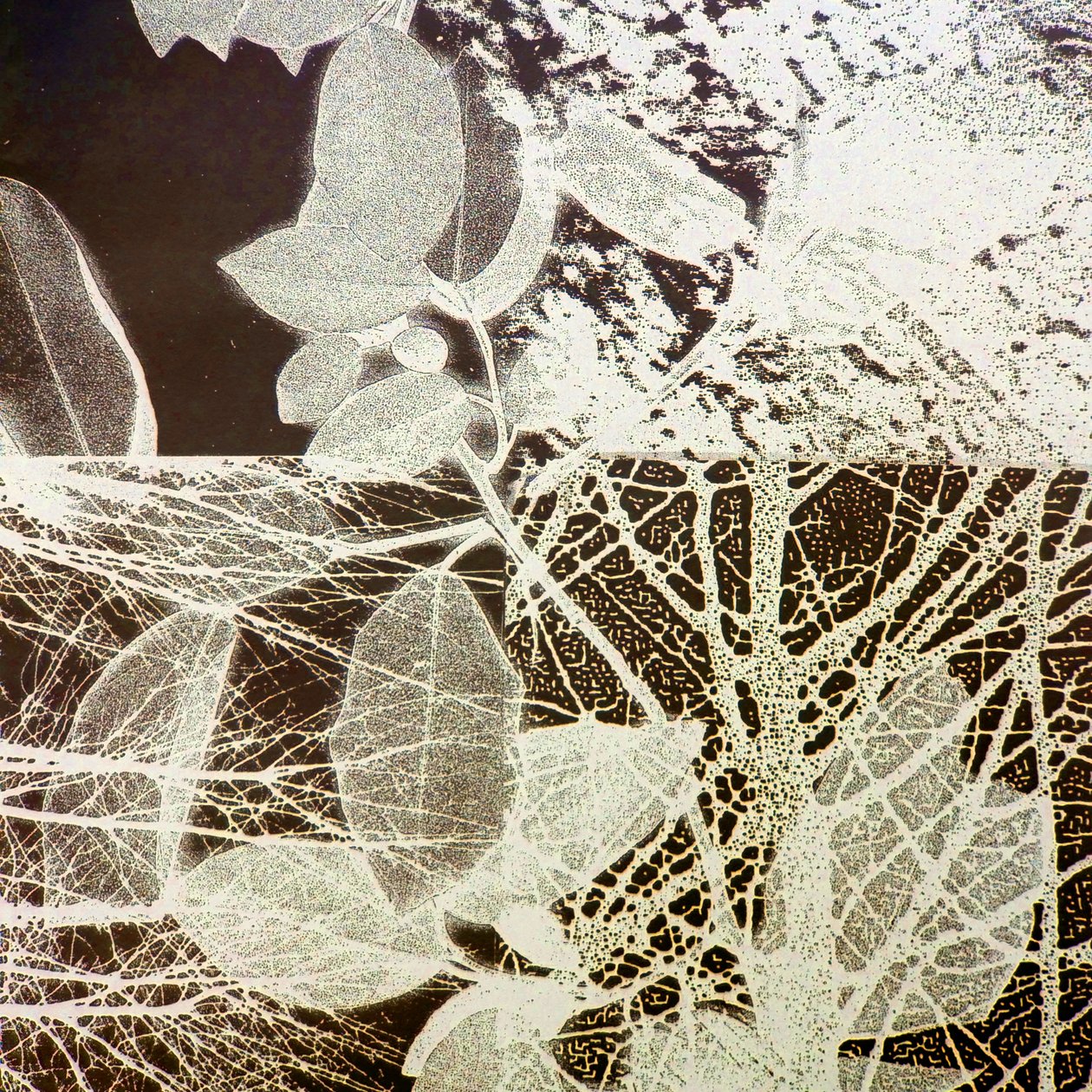 Yömetsä, 2018 (digitaalinen) tekijältä Stephen Dow