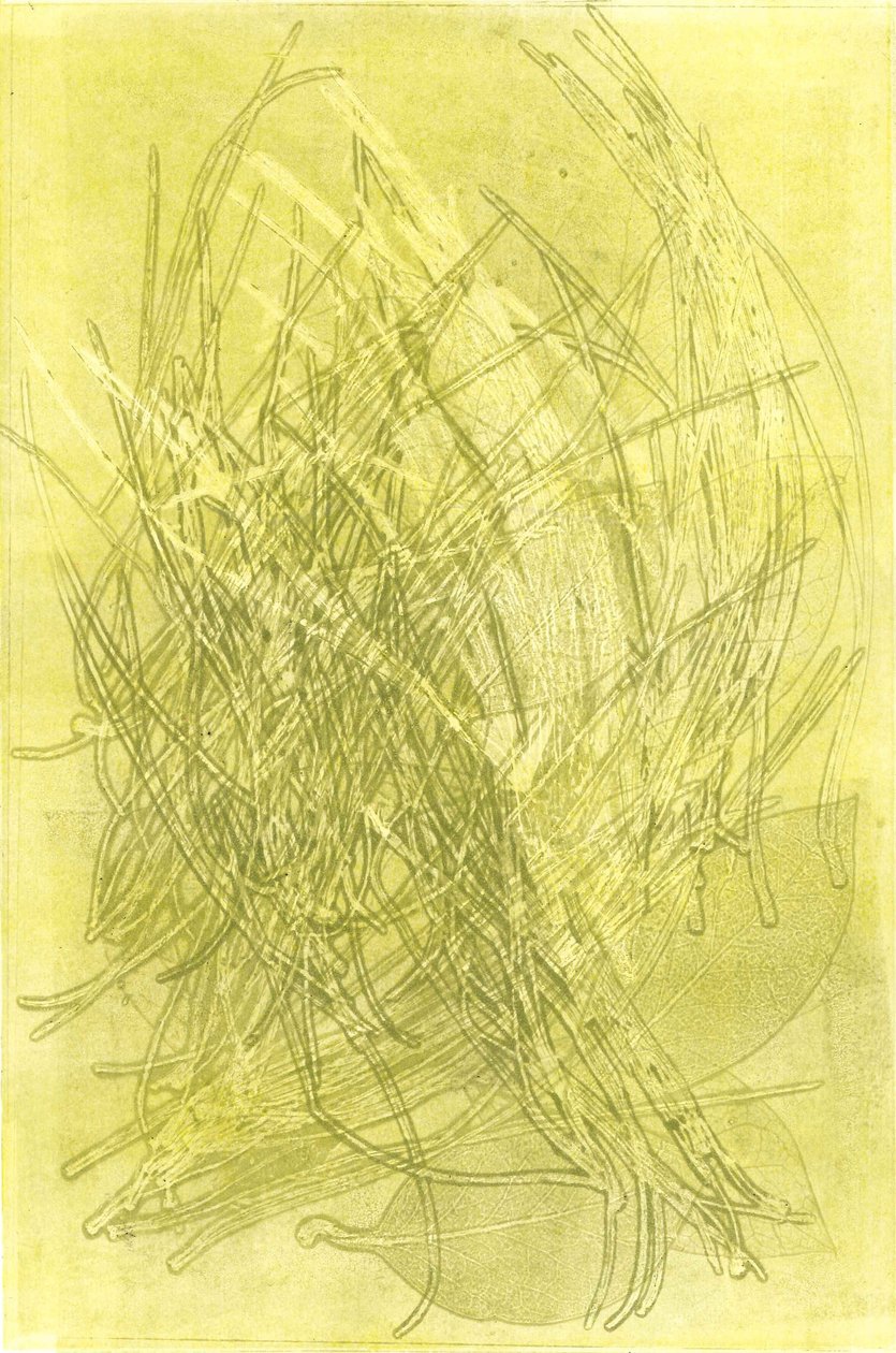 Kesäpuutarha V, 2015 (monoprintti paperille) tekijältä Stephen Dow