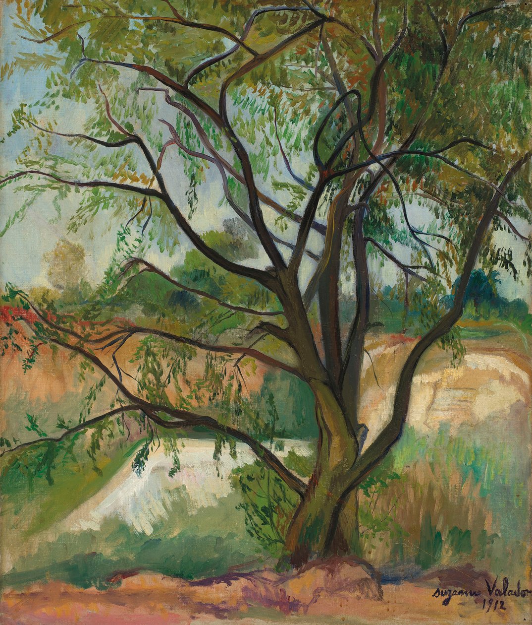 Puu, 1912. tekijältä Suzanne Valadon