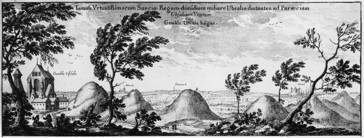 Hautausmaa Uppsalassa, Ruotsissa tekijältä Swedish School