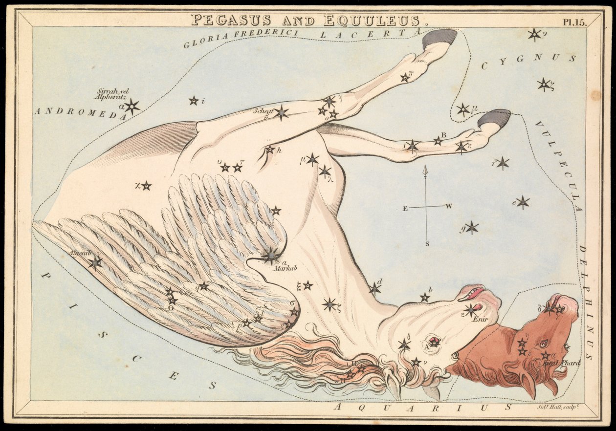 Pegasus ja Equuleus, n.1825 (kortti, paperi, kudos). tekijältä Sydney Hall