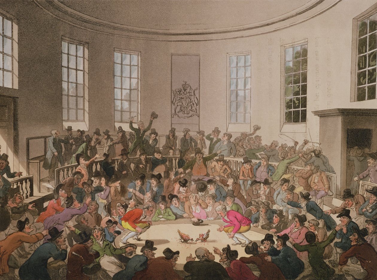 Royal Cock Pit, 1808, kaiverrus John Bluck (fl.1791-1819) tekijältä Pugin and Rowlandson
