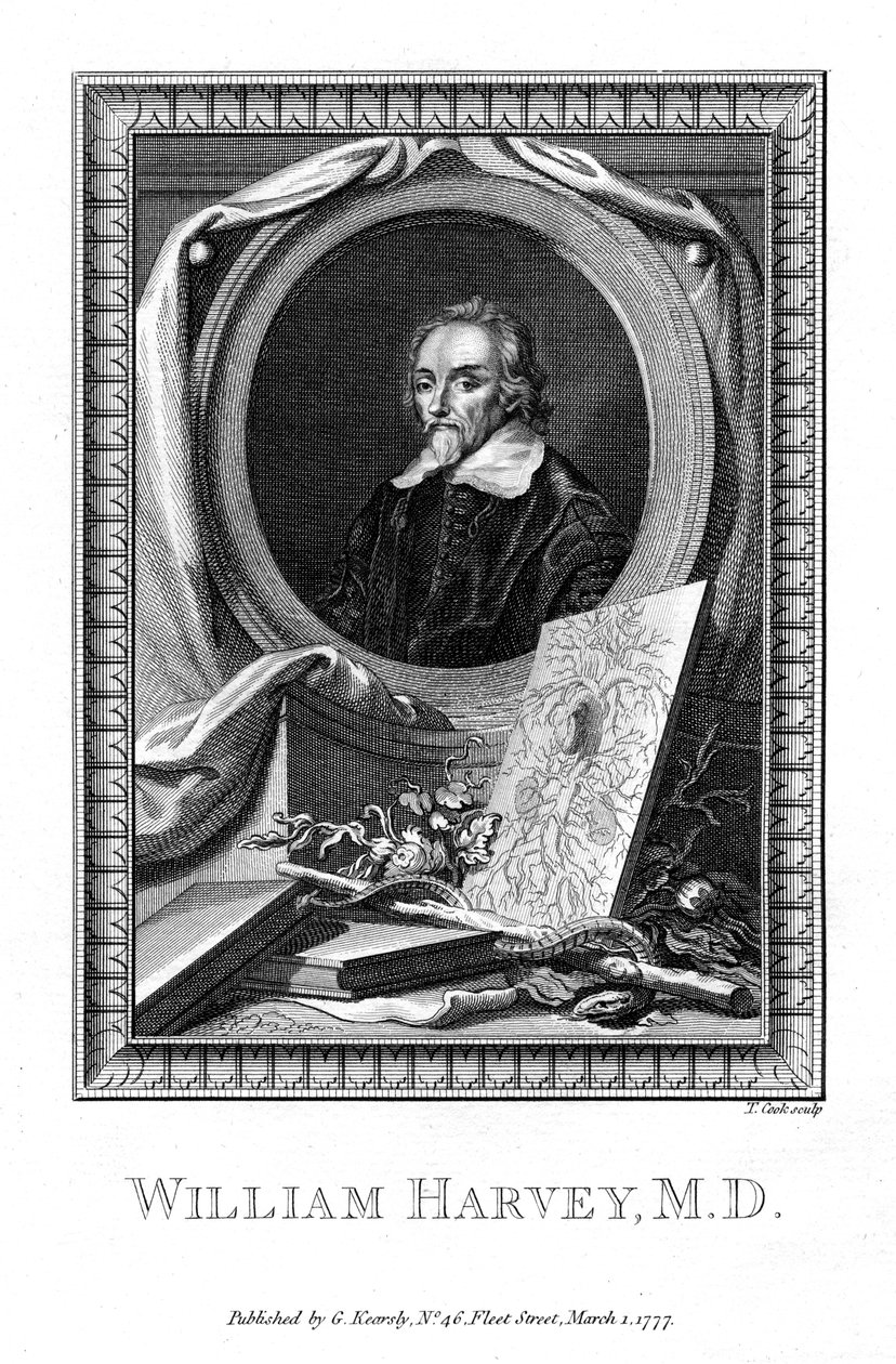 William Harvey, lääkäri, 1777. tekijältä T. Cook