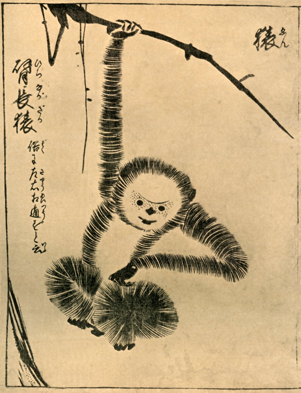 Apina, 1720, 1924. tekijältä Tachibana Morikuni