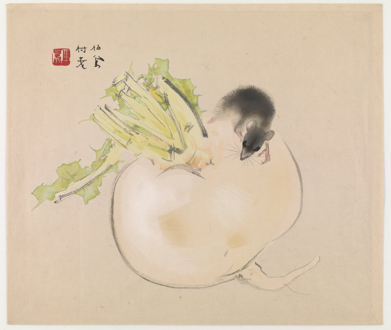 Valkoinen retiisi (Daikon) ja rotta (värillinen puupainatus) tekijältä Takeuchi Seiho