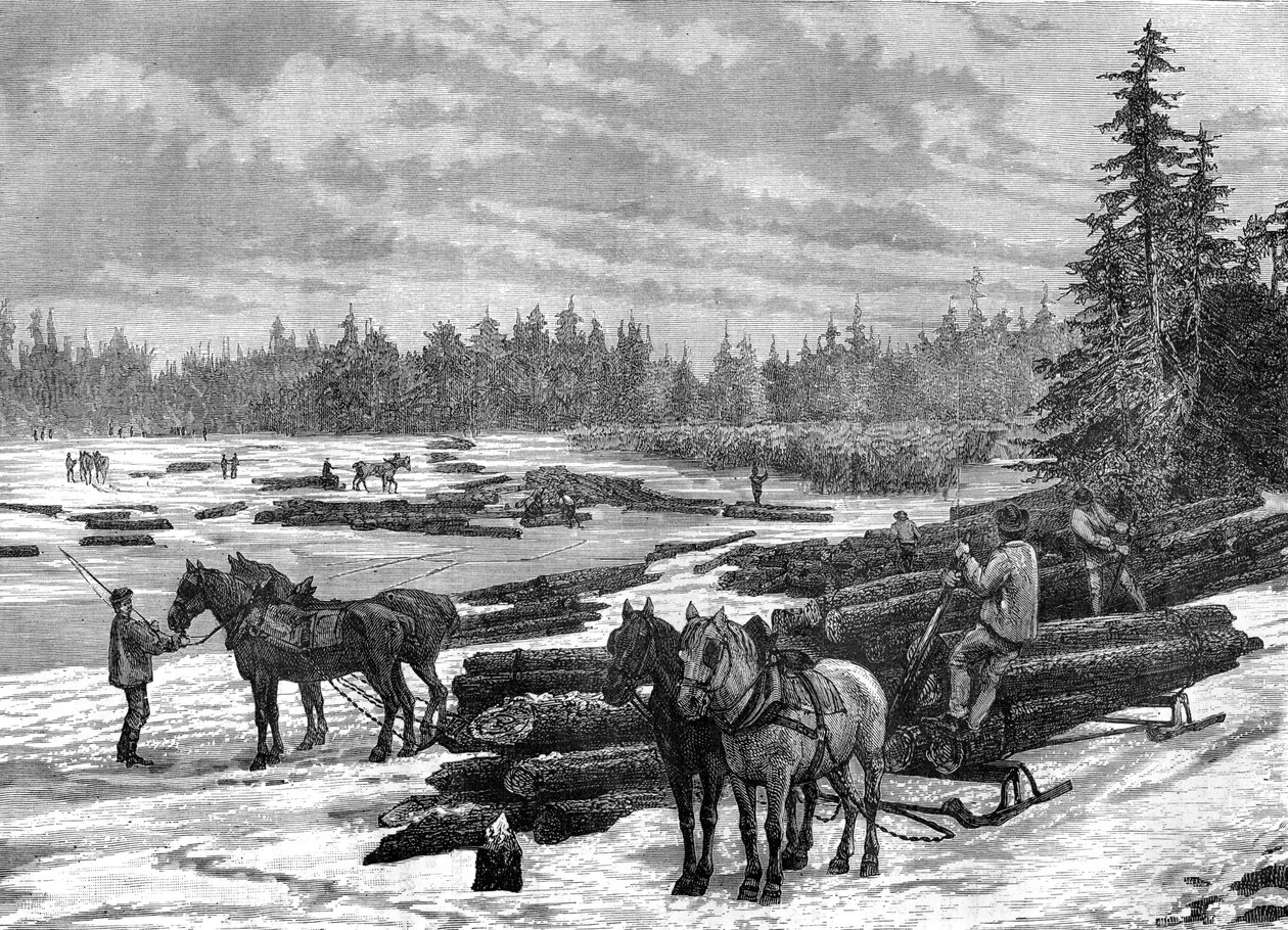 Kanadalaiset metsurit, 1800-luku. tekijältä Taylor