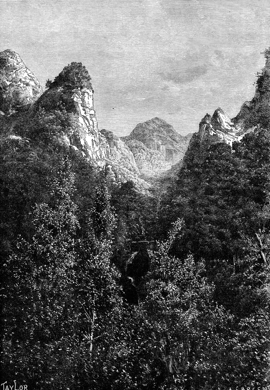 Madeira, Portugali, 1895. tekijältä Taylor