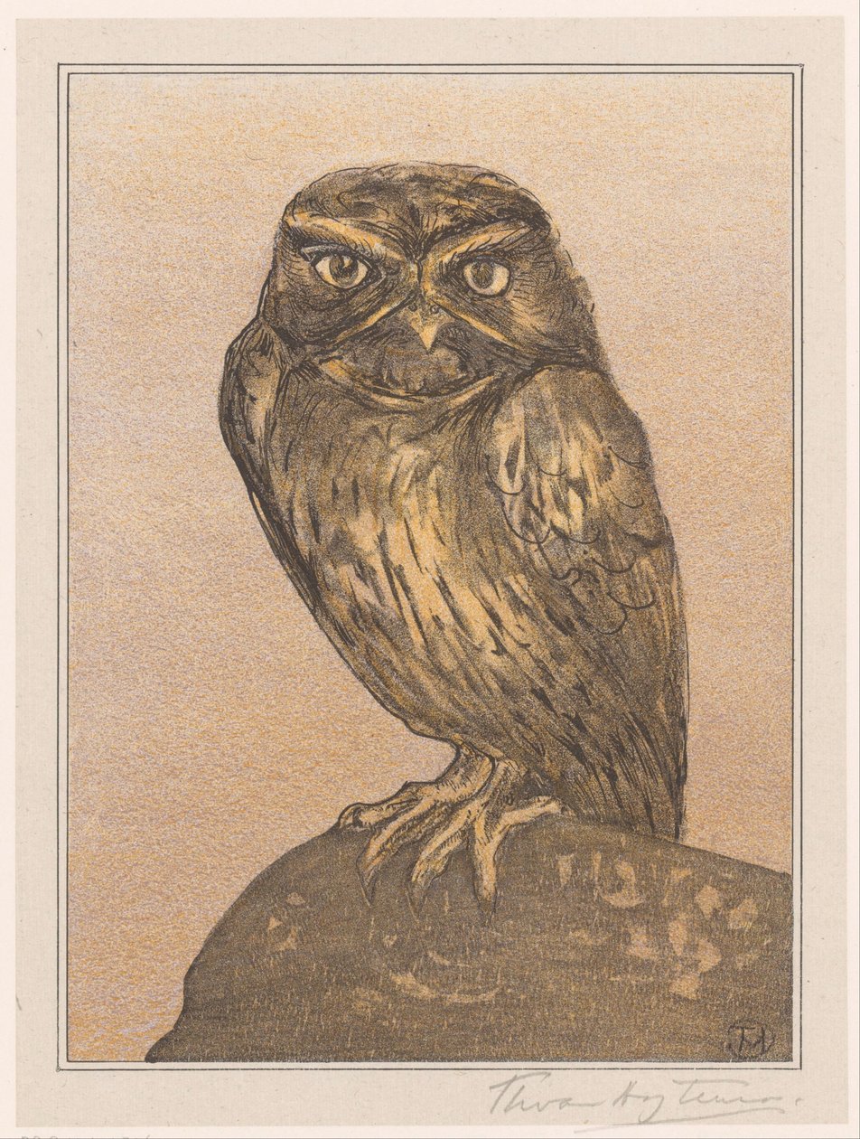 Pieni pöllö kivellä tekijältä Theo van Hoytema (signed by artist)