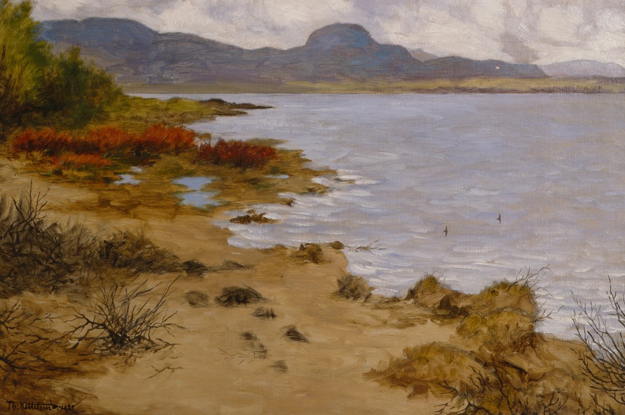 Rantaosuus Sonerenissa (Andersnatten) tekijältä Theodor Kittelsen