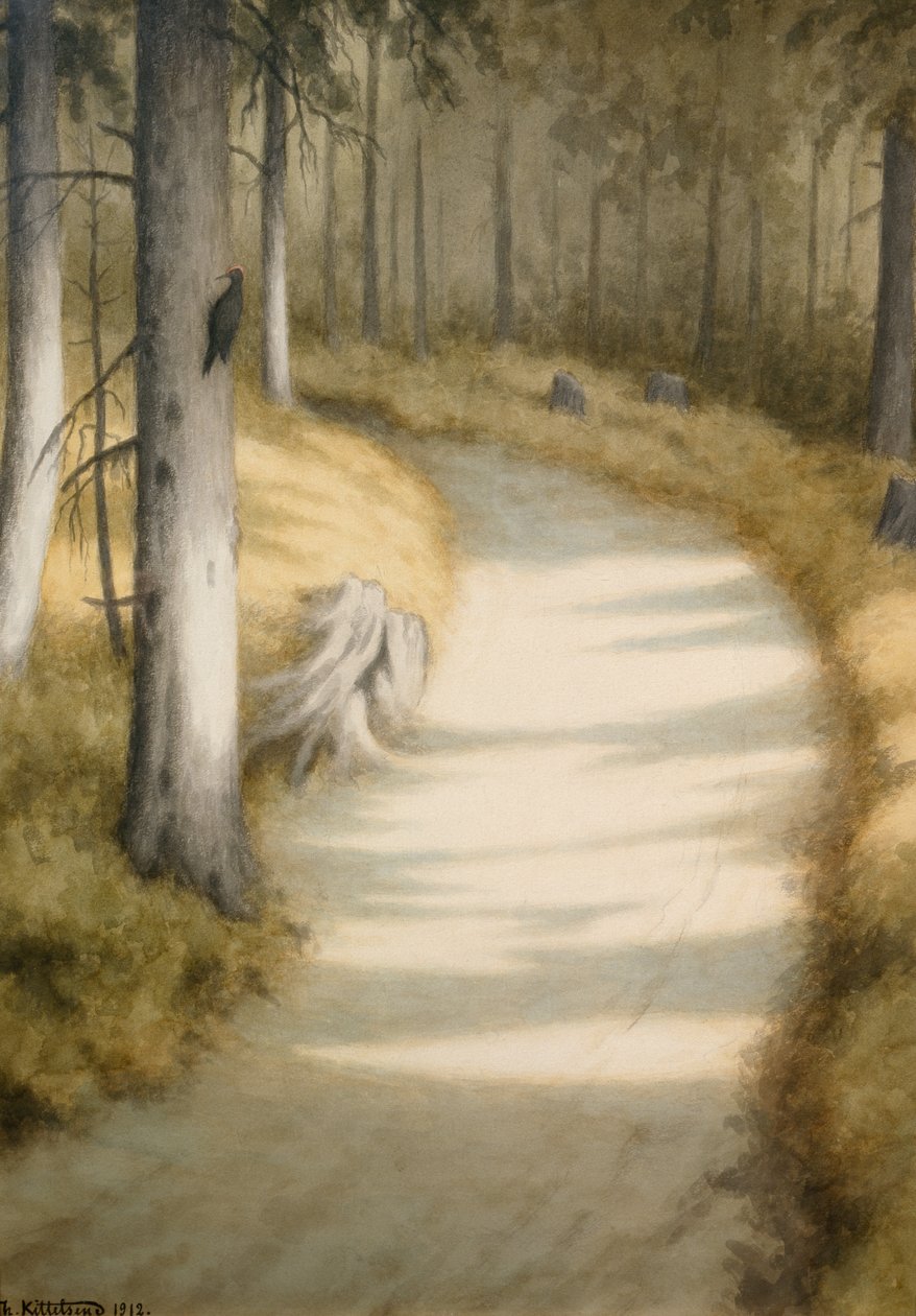 Tikka tekijältä Theodor Kittelsen