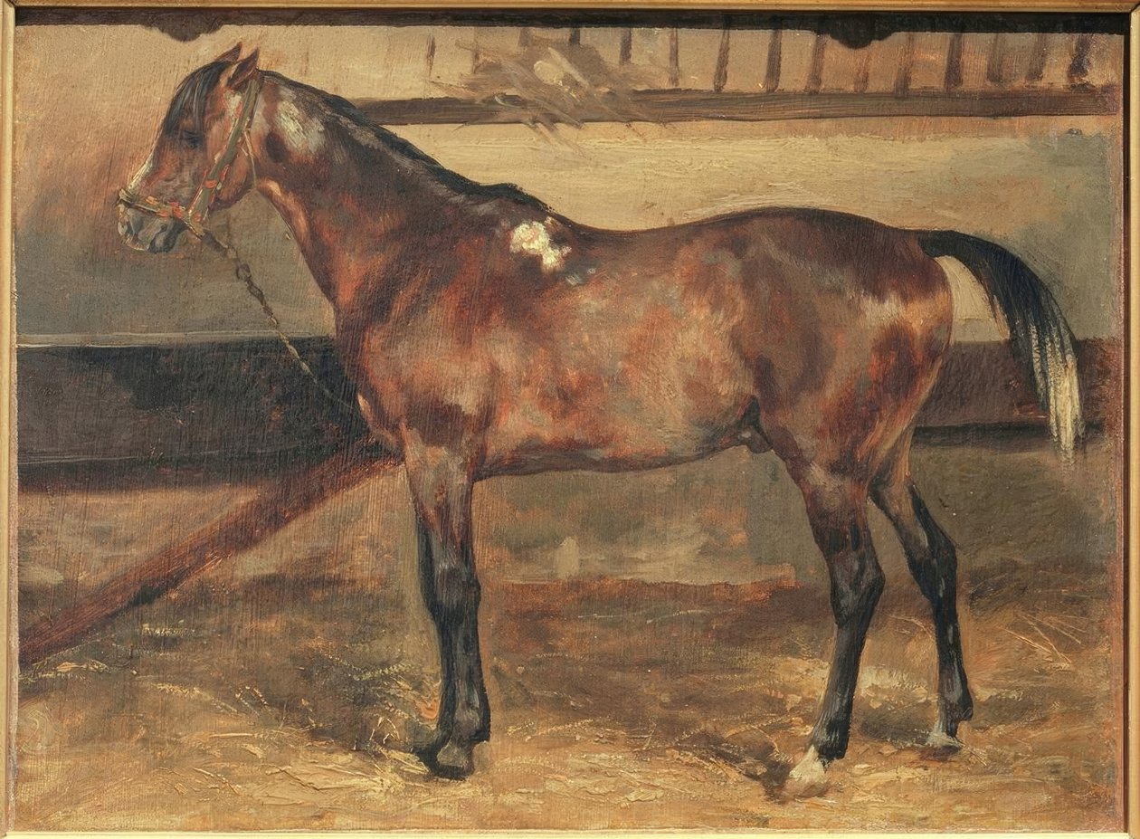 Cheval brun à l