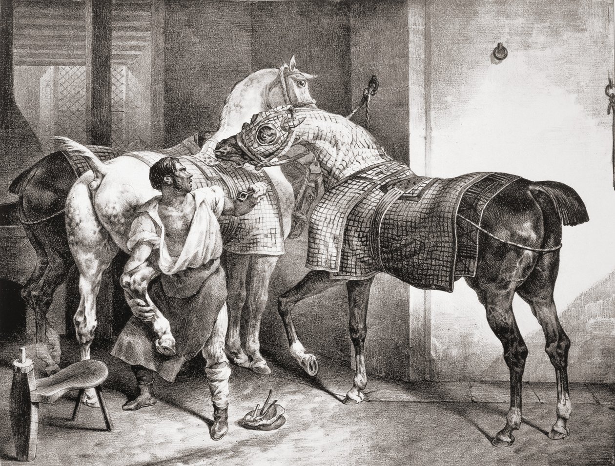 Farrier, Etudes de Cheveaux