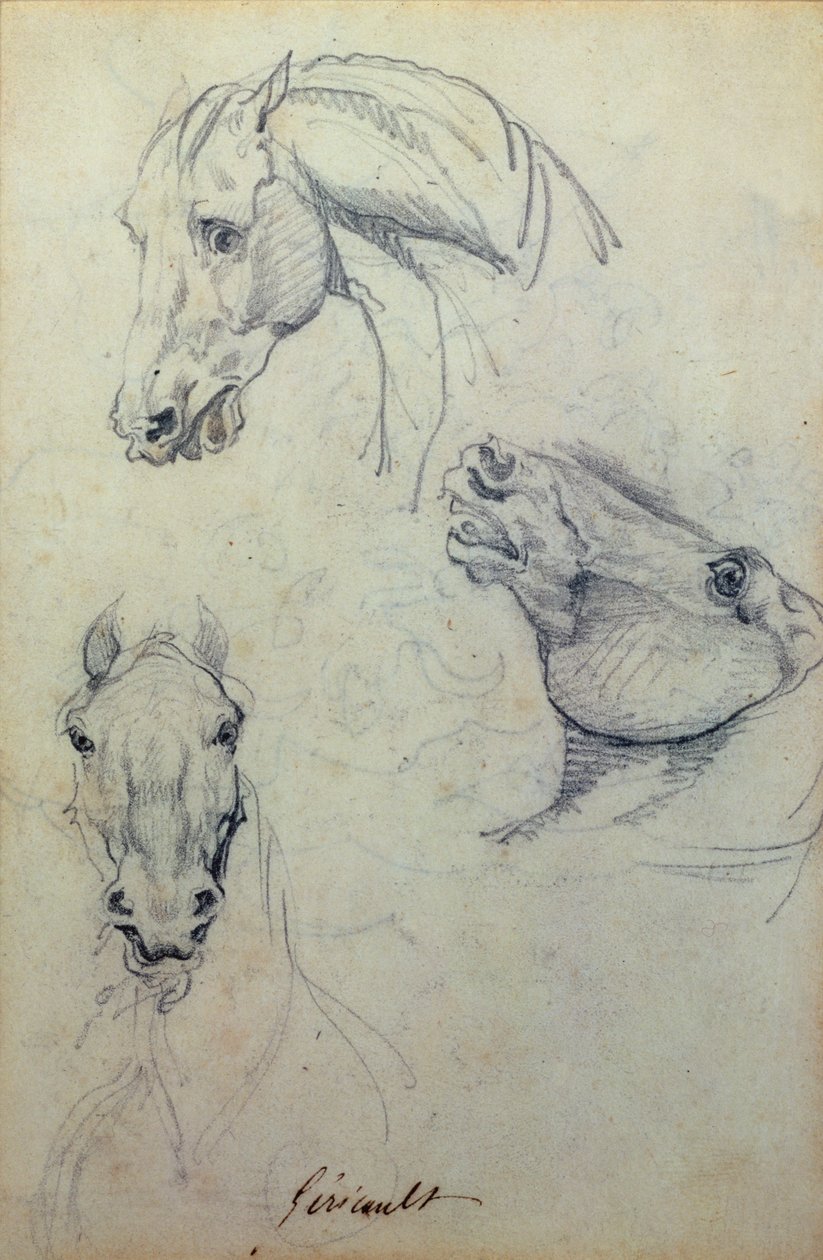 Kolme hevosen päätä (lyijykynä) tekijältä Theodore Gericault