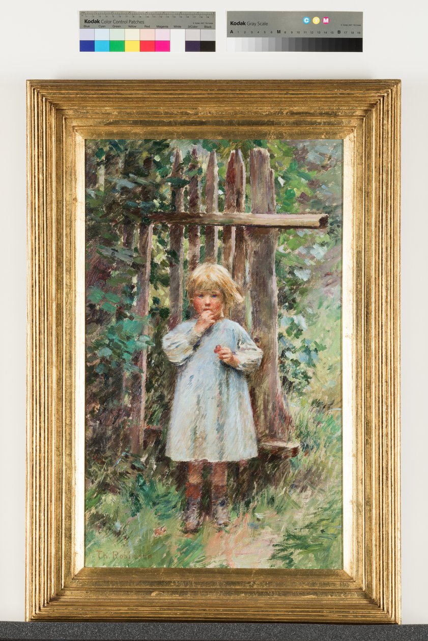 Marauderi tekijältä Theodore Robinson