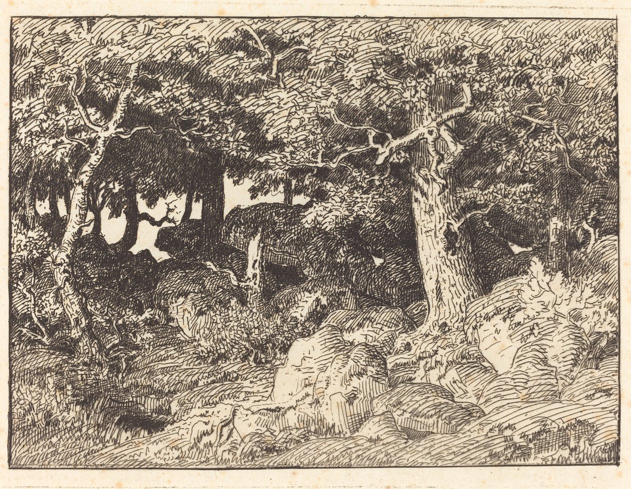 Rock Oaks tekijältä Theodore Rousseau