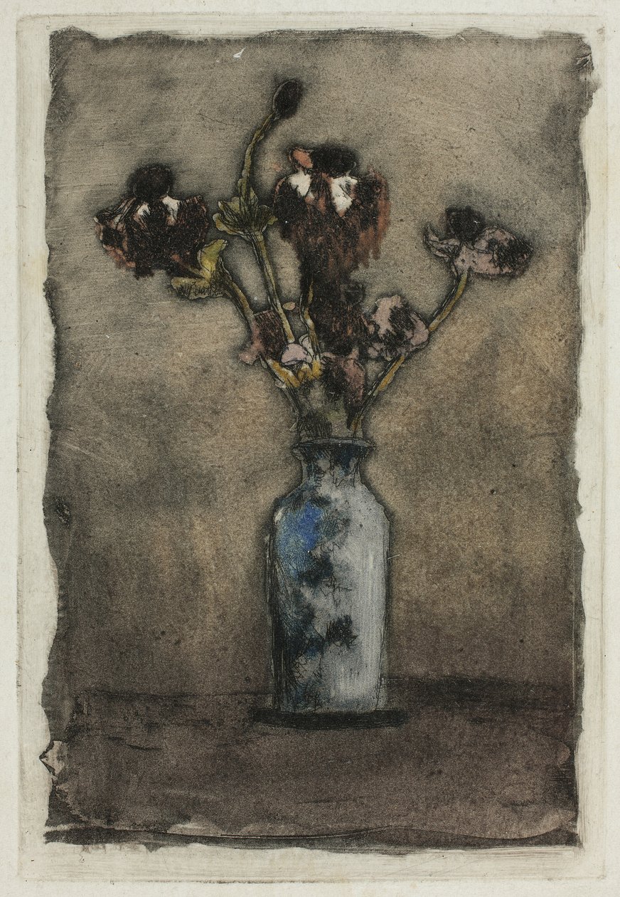 Anemones tekijältä Theodore Roussel