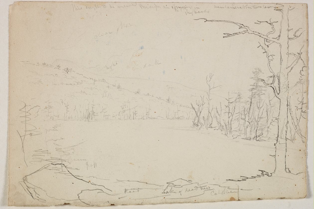 Lake of Dead Trees, Catskill, 1825 (grafiittikynä luonnonvalkoiselle paperille) tekijältä Thomas Cole