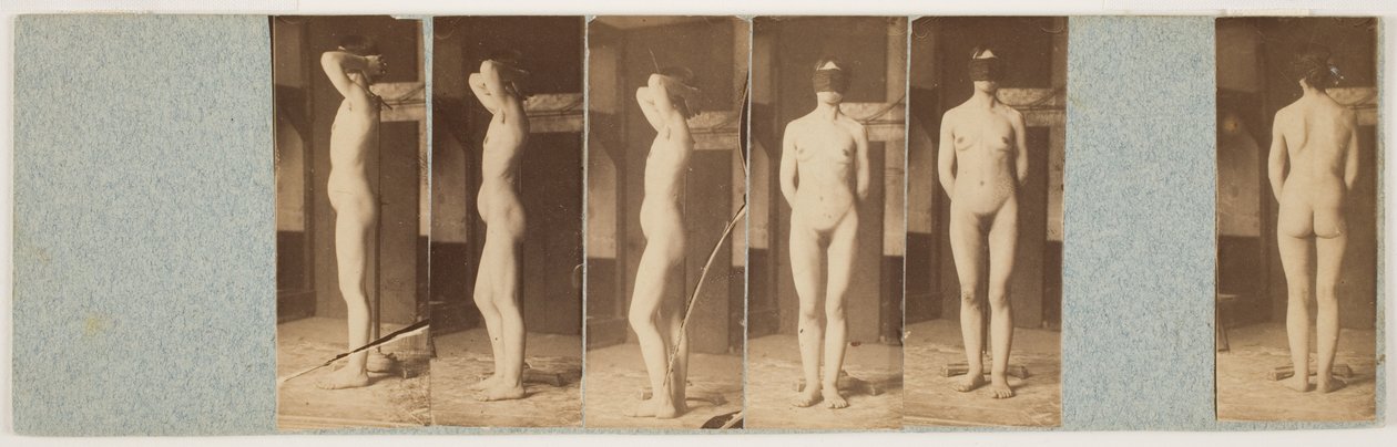 Lillie (albumiiniprintit kuivalevyistä kolloodionegatiivit) tekijältä Thomas Eakins