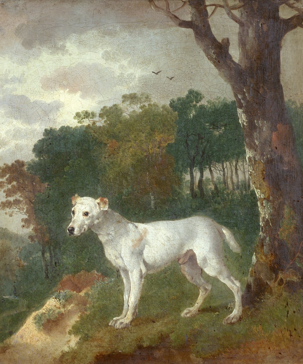 Bumper, bullterrieri, 1745 tekijältä Thomas Gainsborough