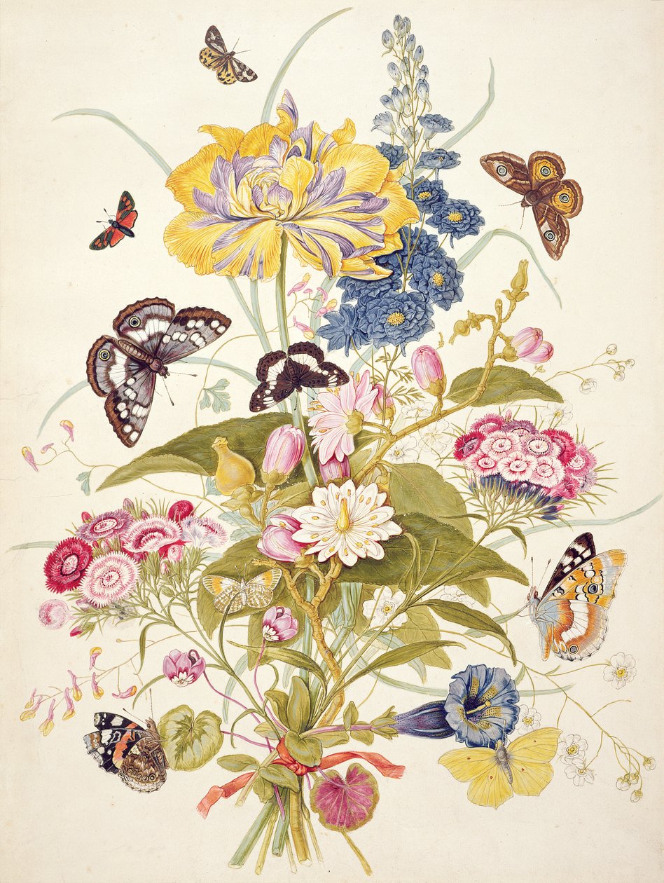 PD.912-1973 Kukkien asetelma, mukaan lukien papukaijatulppaani, larkspur, sweet william, gentian ja syklaami, 1769 tekijältä Thomas Robins