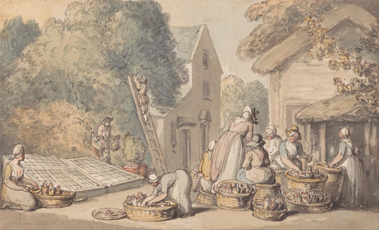 Mulperin poiminta tekijältä Thomas Rowlandson