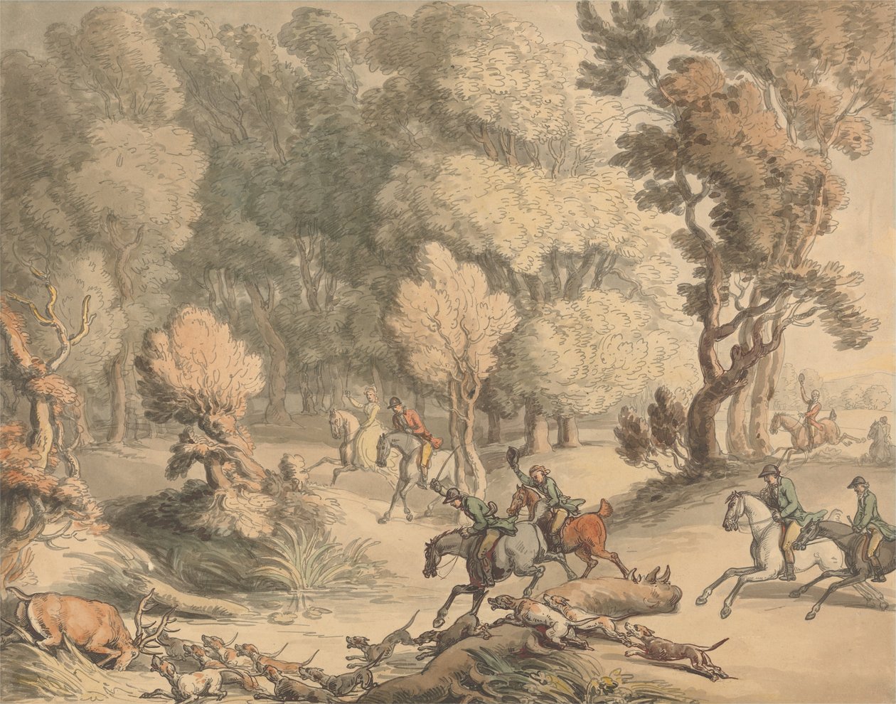 Stag at Bay tekijältä Thomas Rowlandson
