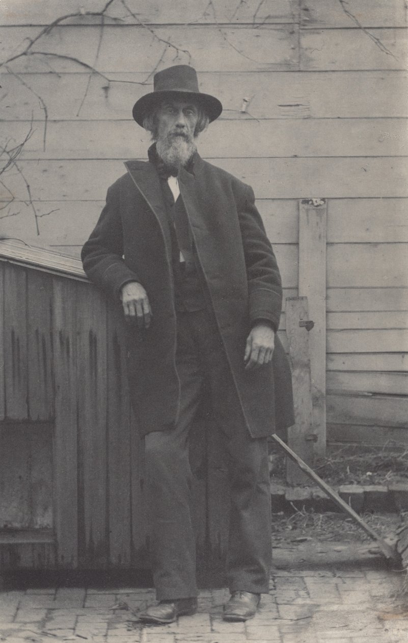 William H. Macdowell,1884 (kuva) tekijältä Thomas Cowperthwait Eakins