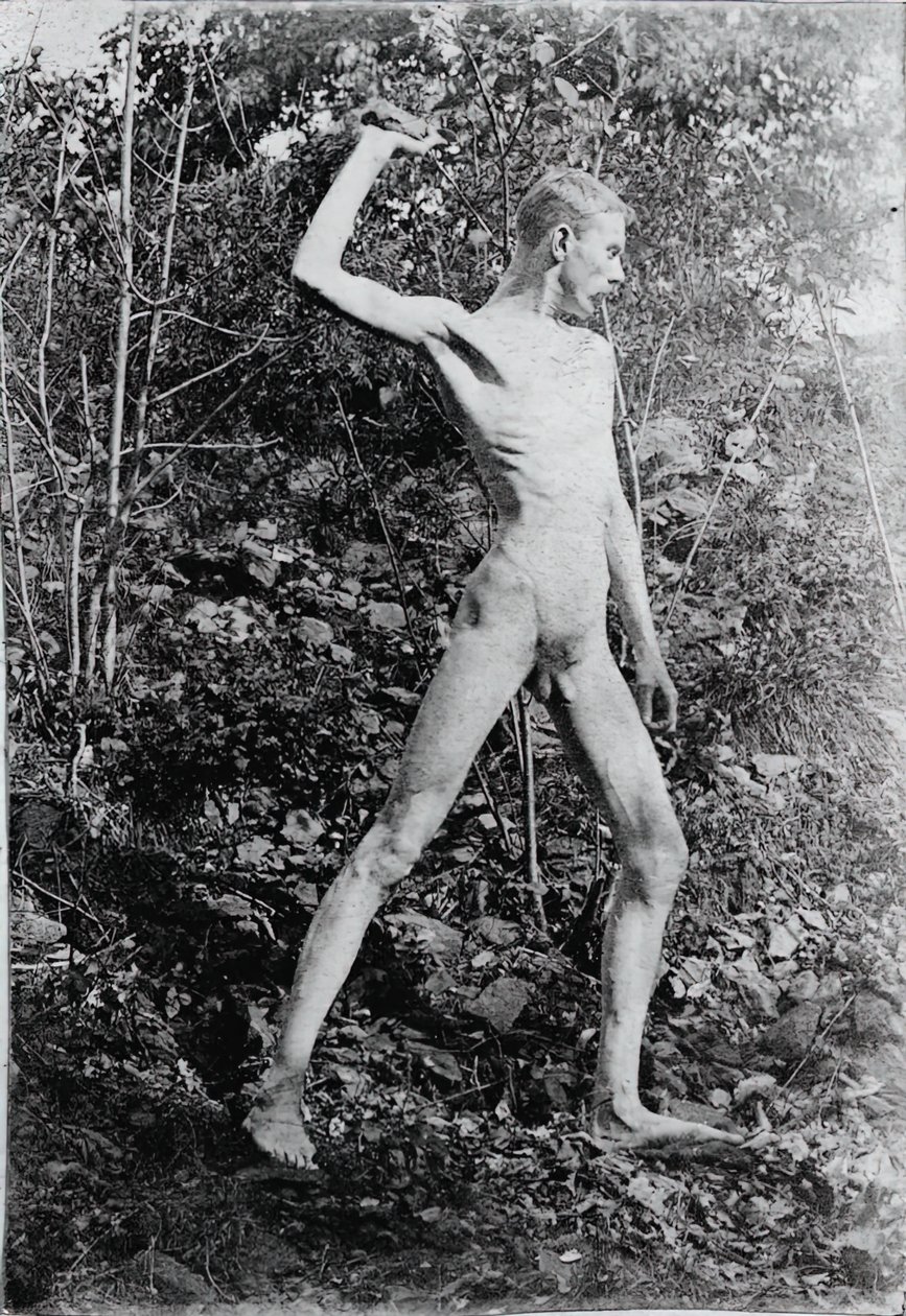 Kivenheittäjä, c. 1883. tekijältä Thomas Eakins