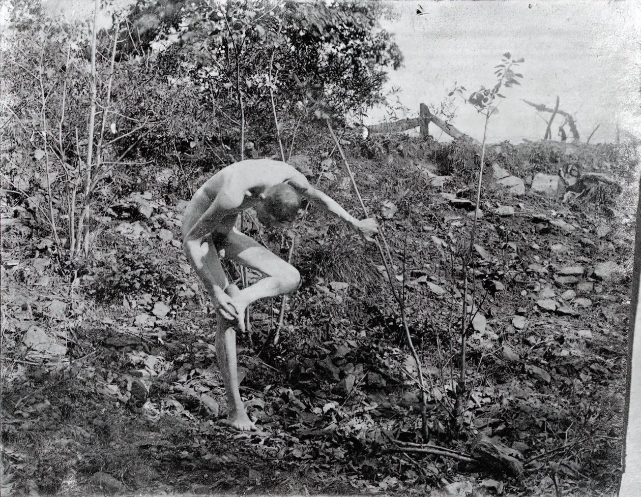 Thorn Puller, c. 1883. tekijältä Thomas Eakins