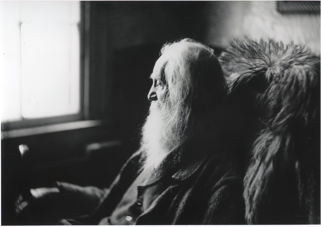 Walt Whitman Camdenissa, N.J., n. 1891. tekijältä Thomas Eakins