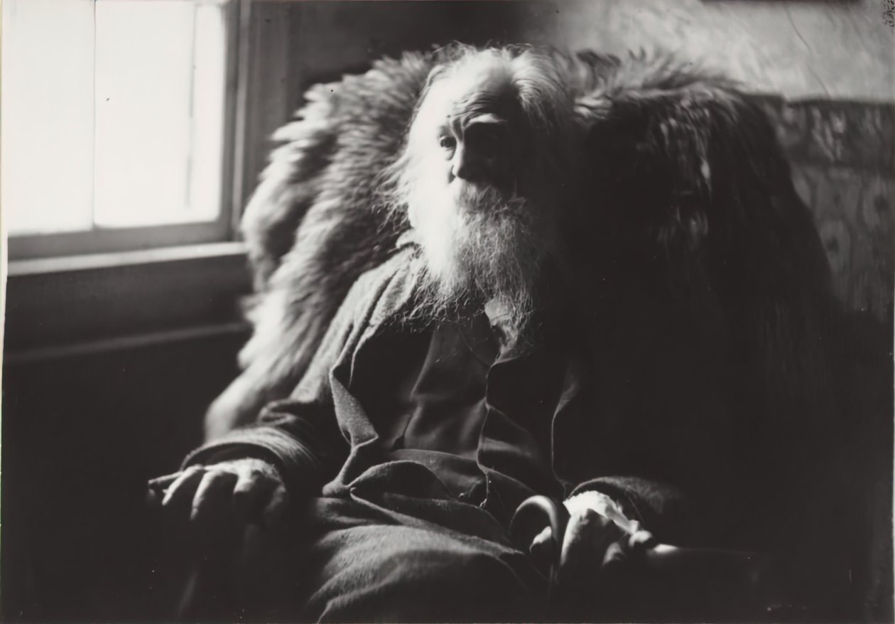 Walt Whitman Camdenissa, N.J., n. 1891. tekijältä Thomas Eakins