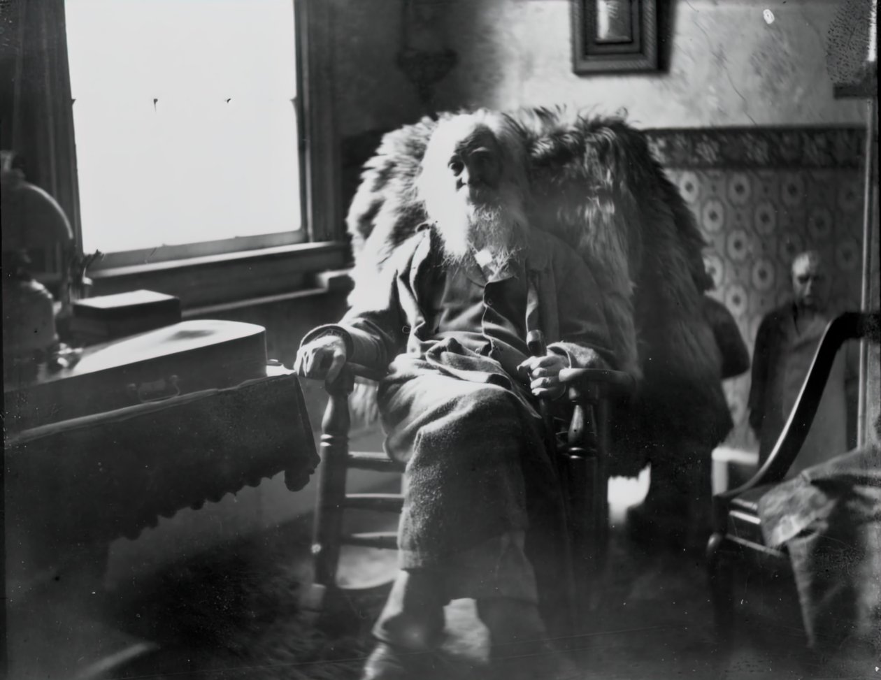 Walt Whitman Camdenissa, N.J., n. 1891. tekijältä Thomas Eakins