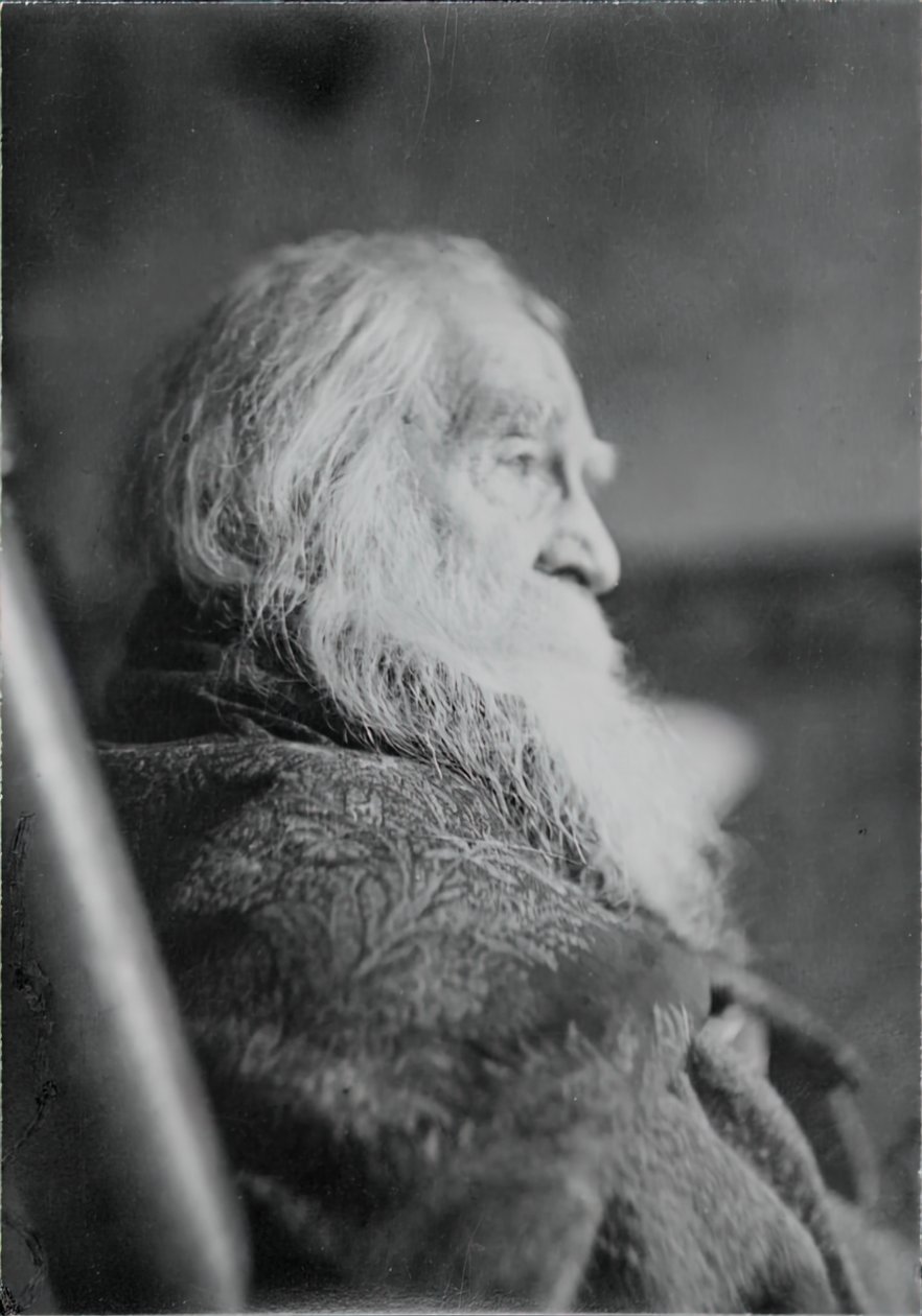 Walt Whitman Camdenissa, N.J., n. 1891. tekijältä Thomas Eakins