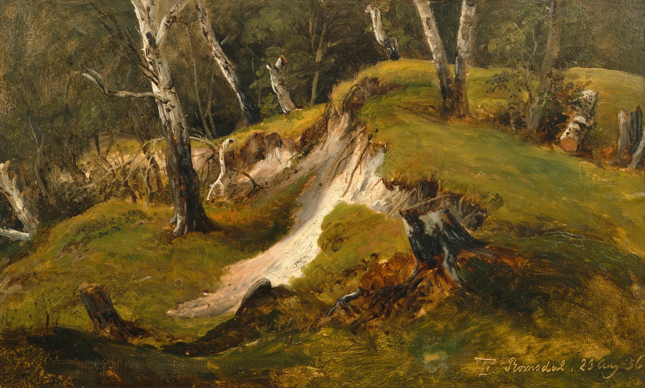 Birckin varastot Romsdalissa tekijältä Thomas Fearnley