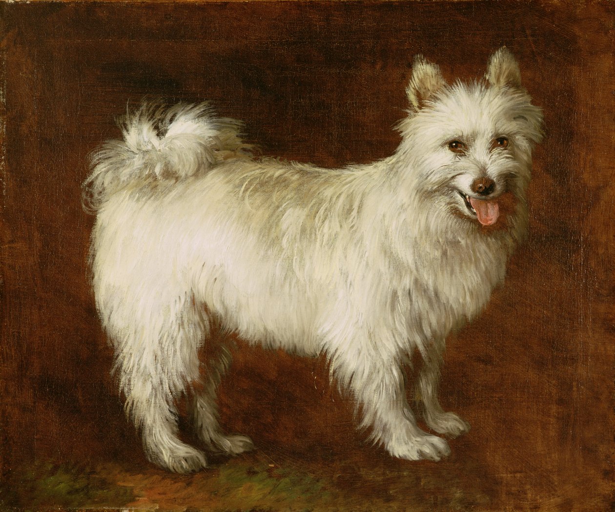 Spitz Dog, n. 1760-70 (öljy kankaalle) tekijältä Thomas Gainsborough