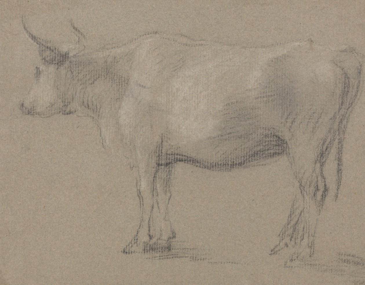 Lehmän tutkimus tekijältä Thomas Gainsborough