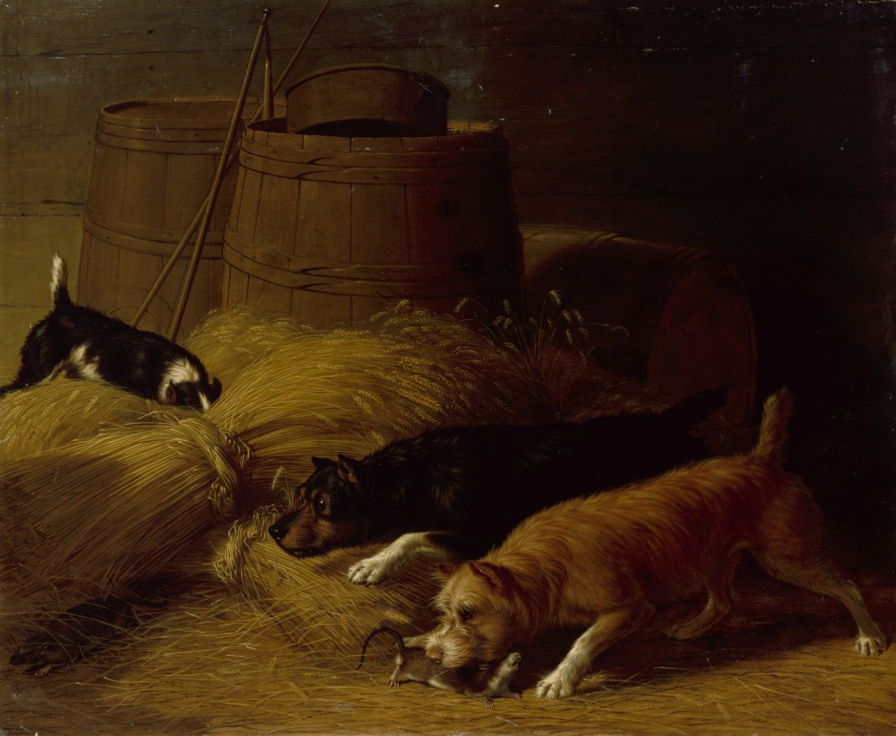 Rotat ohran lyhteiden joukossa, 1851. tekijältä Thomas Hewes Hinckley