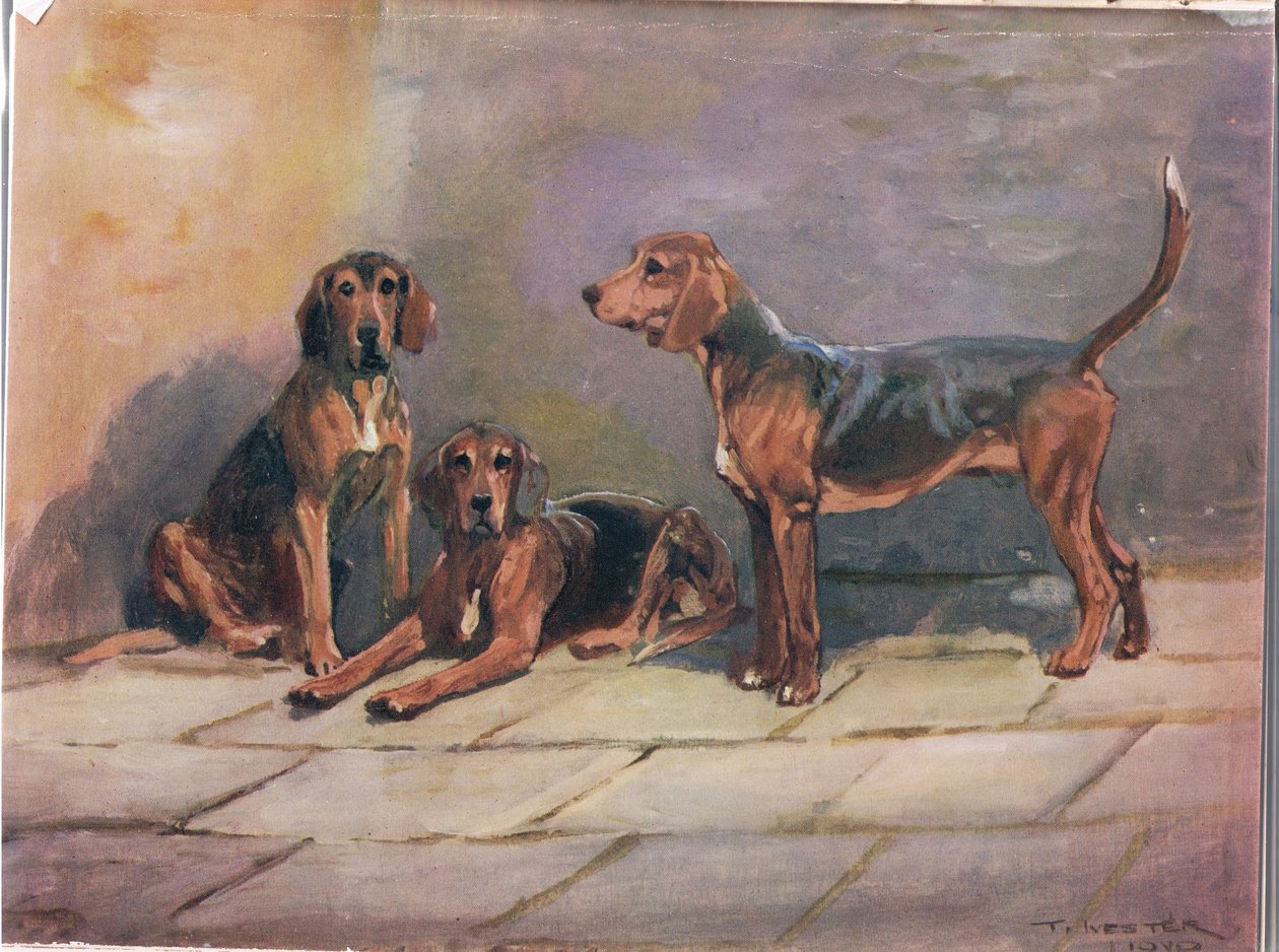Koirat, kuvitus kirjasta "Hounds" tekijältä Thomas Ivester Lloyd