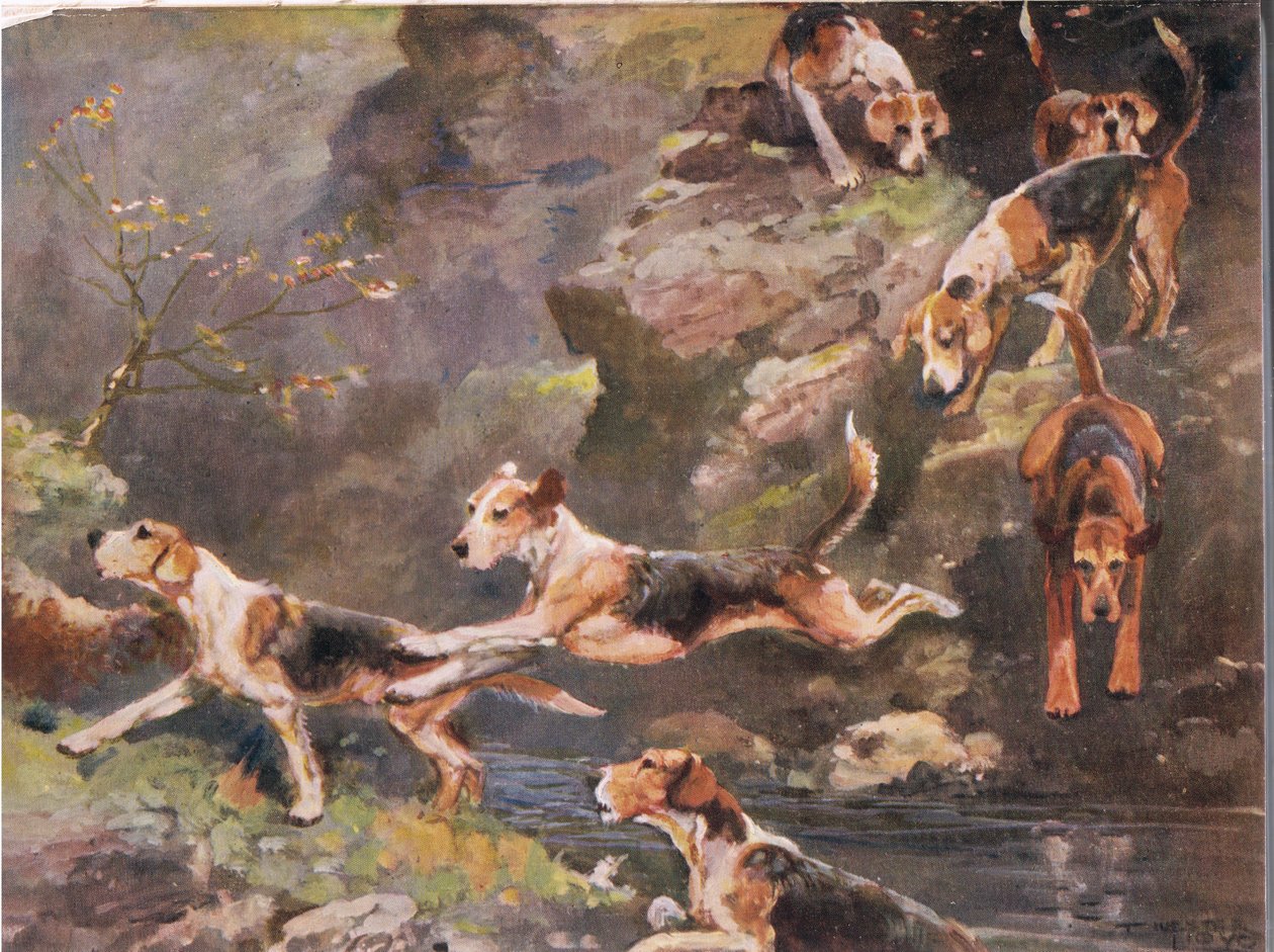 Yli joen, kuvitus kirjasta "Hounds" tekijältä Thomas Ivester Lloyd