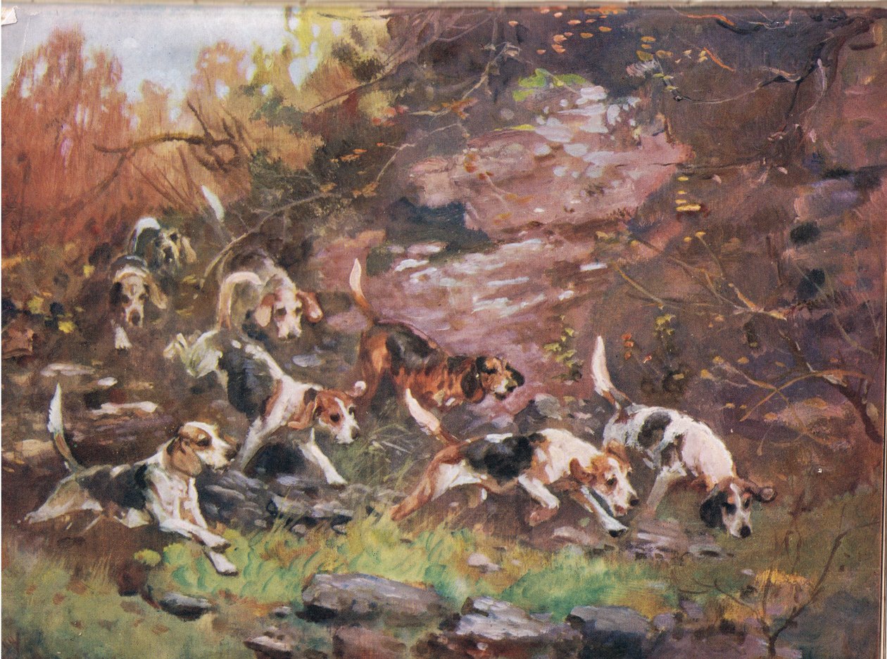 Läpi aluskasvillisuuden, kuvitus kirjasta "Hounds" tekijältä Thomas Ivester Lloyd