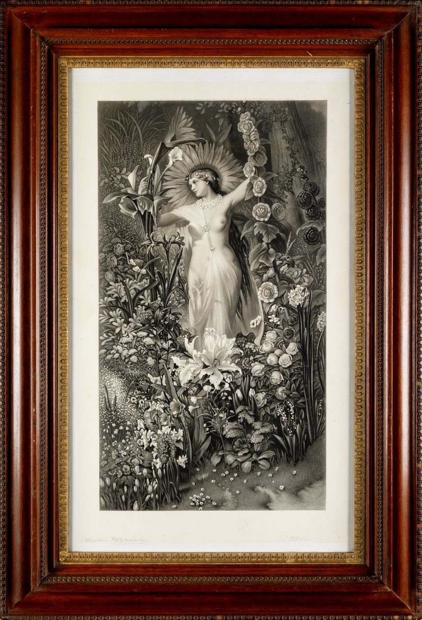 Flora (kaiverrus) tekijältä Thomas Lewis Atkinson