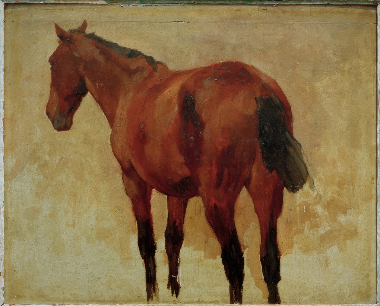 Pferdestudie tekijältä Thomas Ludwig Herbst