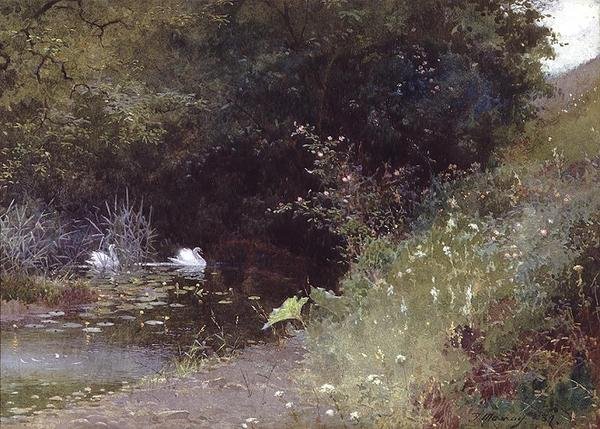 Joutsenet järvellä tekijältä Thomas Mackay