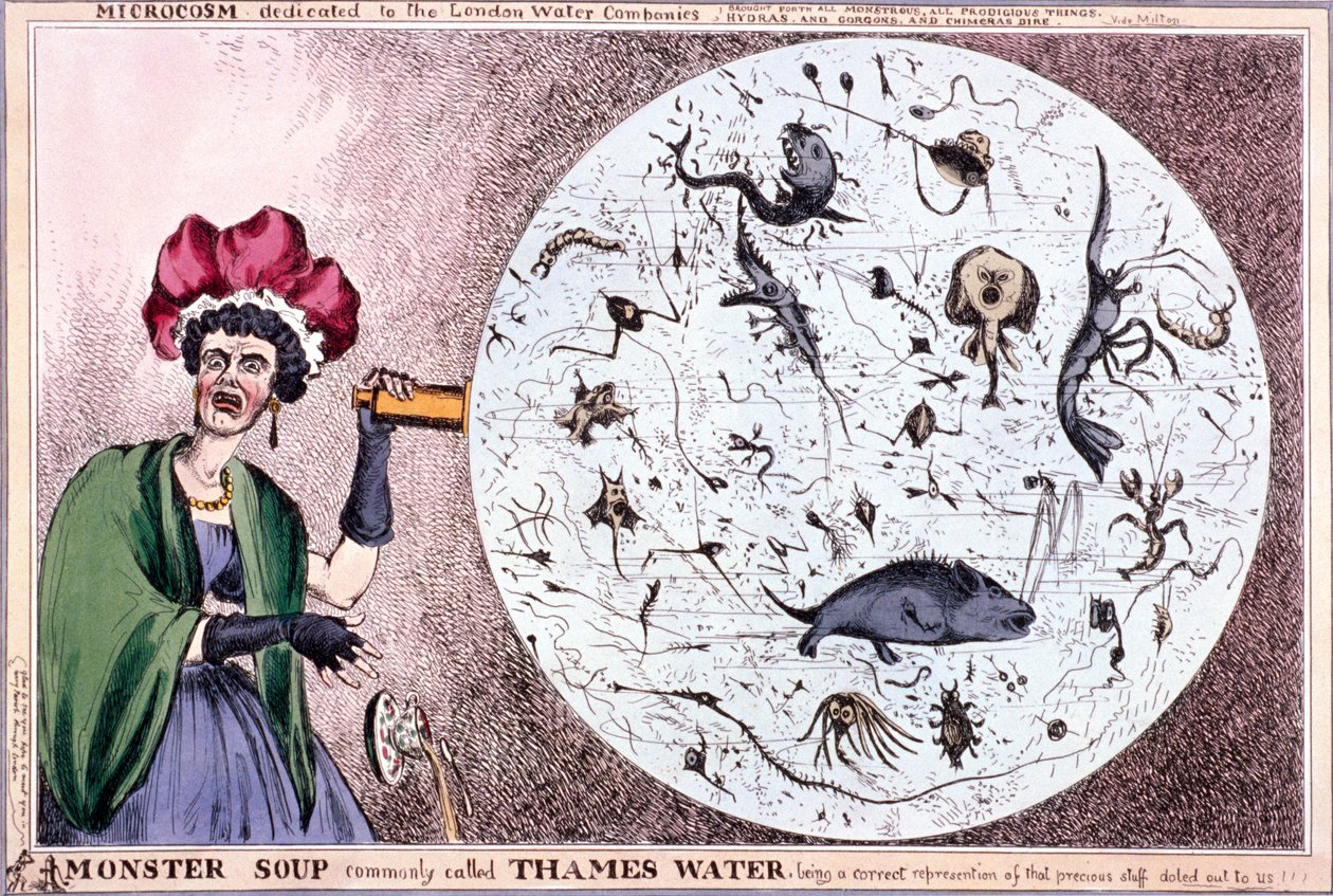 "Hirviökeitto, jota kutsutaan yleisesti Thames-vedeksi...", 1828 tekijältä Thomas McLean