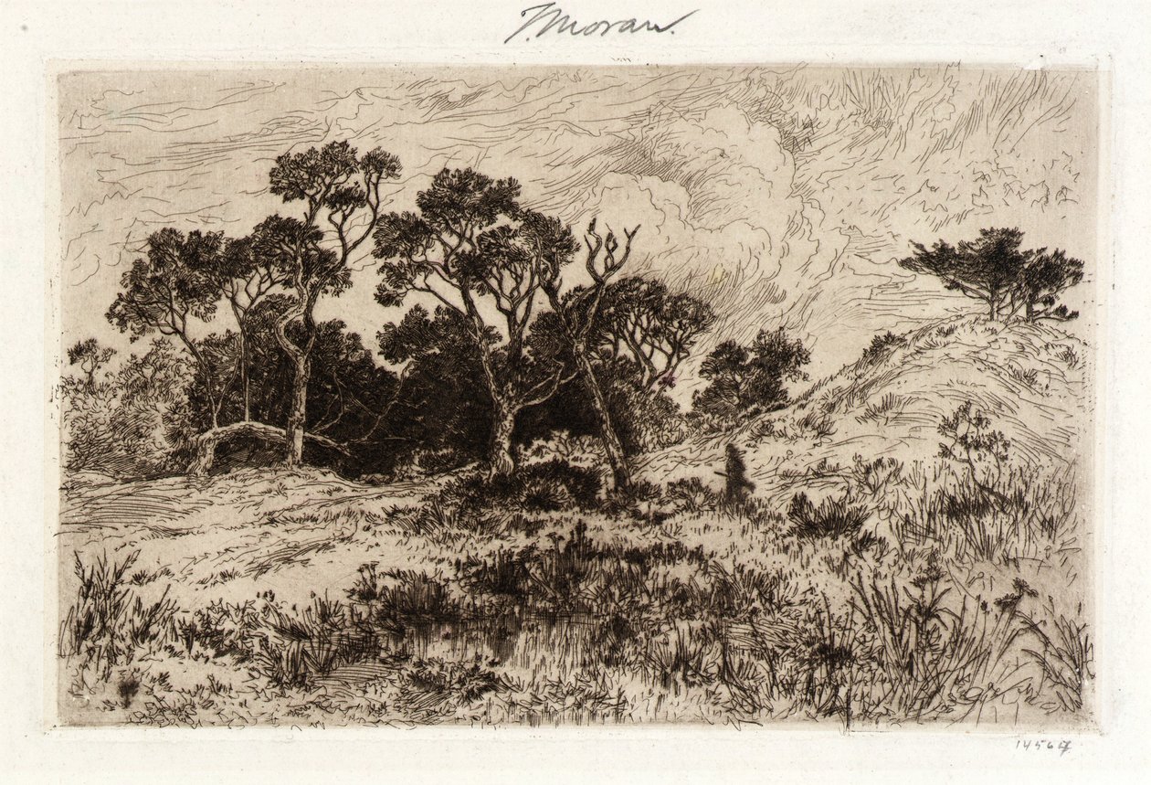 Etelätuuli tekijältä Thomas Moran