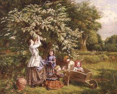 Kerää May Blossom tekijältä Thomas P. Hall