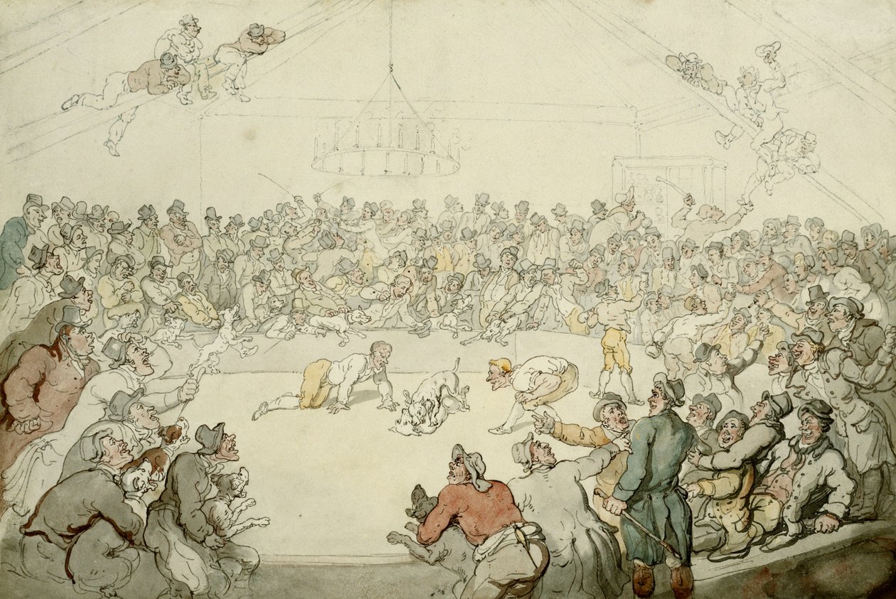 Westminster Pitt, 1798 tekijältä Thomas Rowlandson